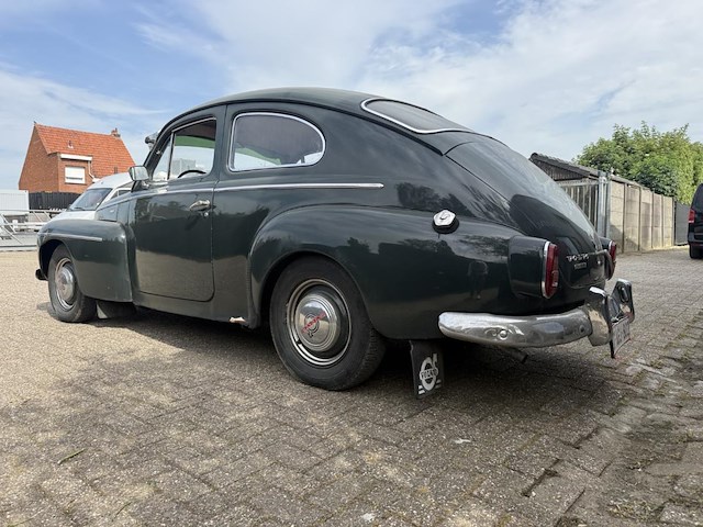Vulva katterug, 1958 - afbeelding 2 van  53