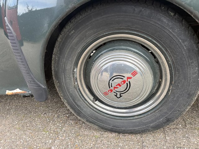 Vulva katterug, 1958 - afbeelding 21 van  53