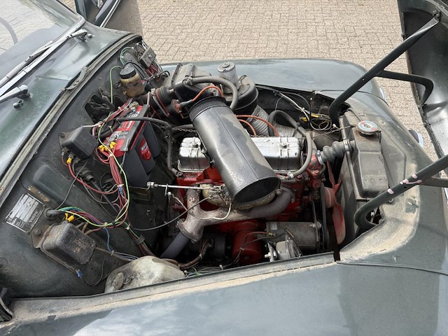 Vulva katterug, 1958 - afbeelding 28 van  53