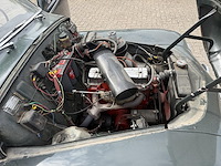 Vulva katterug, 1958 - afbeelding 28 van  53