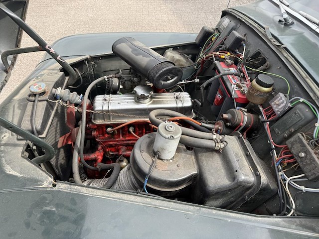 Vulva katterug, 1958 - afbeelding 32 van  53