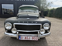 Vulva katterug, 1958 - afbeelding 34 van  53