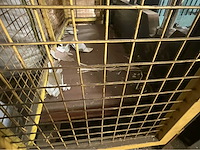 Waco guilotine - various graphic industry - afbeelding 3 van  14