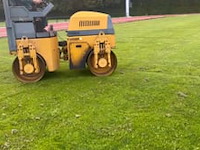 Wals benford - afbeelding 2 van  2