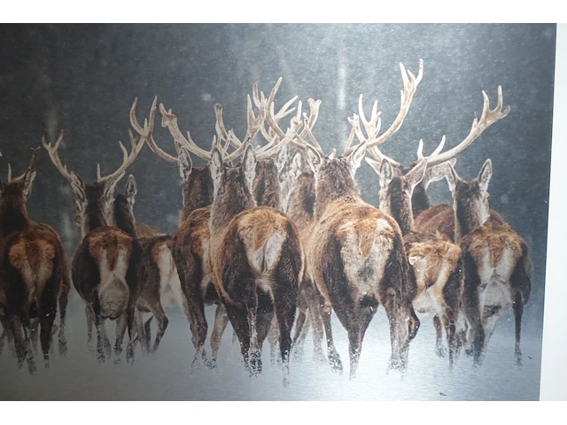 Wanddecoratie - afbeelding 2 van  2