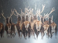 Wanddecoratie - afbeelding 2 van  2