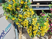 Wanddecoratie - afbeelding 4 van  4