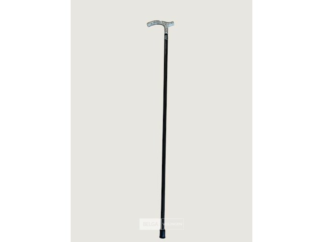 Wandelstok patrick hernandez - afbeelding 1 van  3