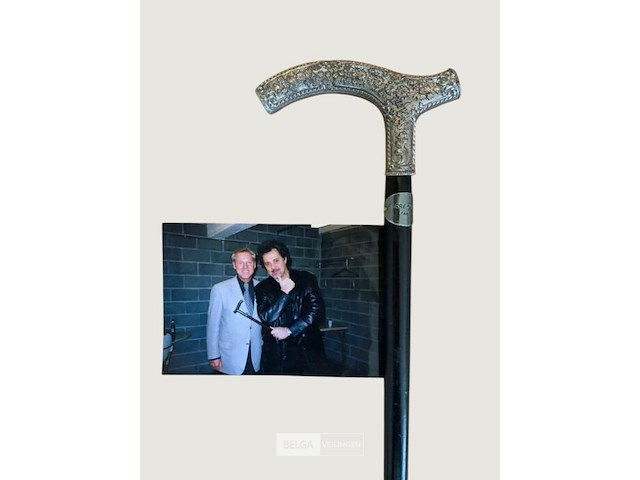 Wandelstok patrick hernandez - afbeelding 3 van  3