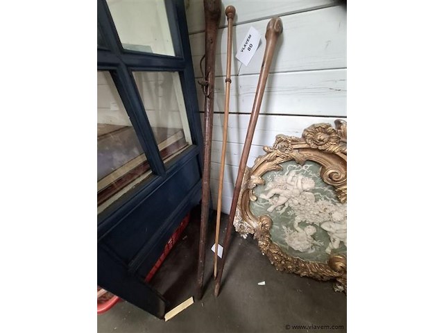 Wandelstok - afbeelding 1 van  1