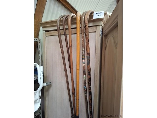Wandelstok - afbeelding 1 van  1