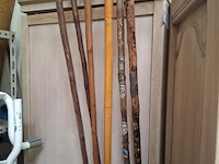 Wandelstok - afbeelding 1 van  1