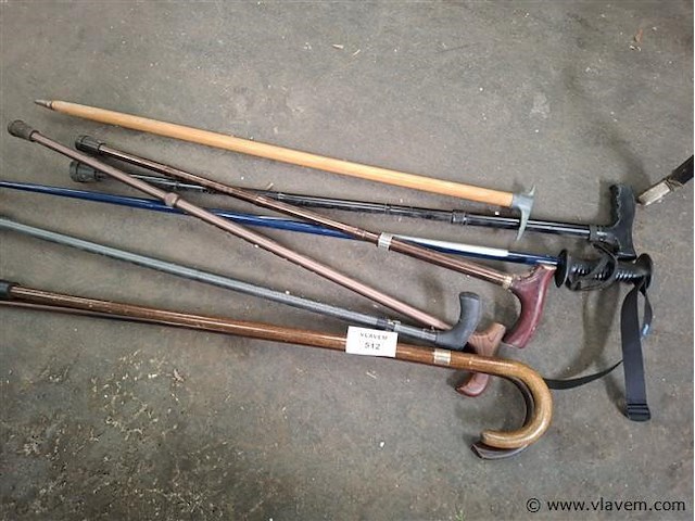 Wandelstok - afbeelding 1 van  1