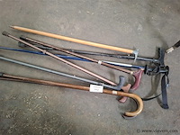 Wandelstok - afbeelding 1 van  1