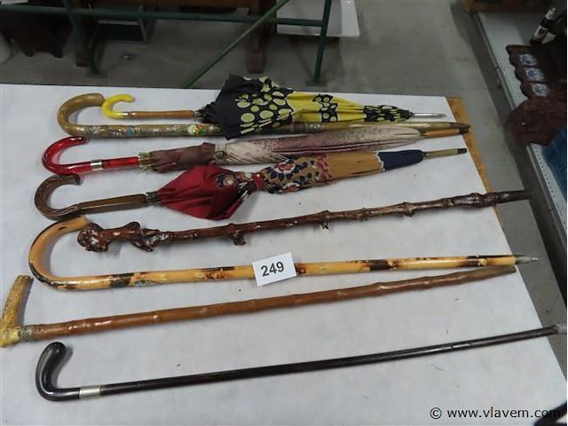 Wandelstokken en paraplu's - afbeelding 1 van  3