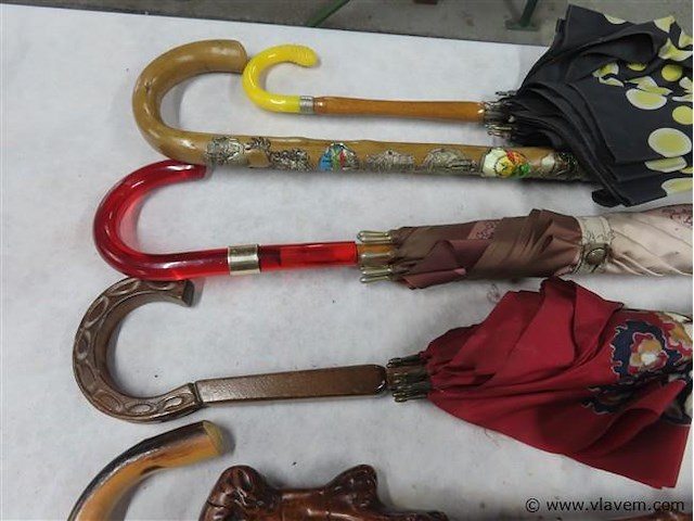 Wandelstokken en paraplu's - afbeelding 2 van  3