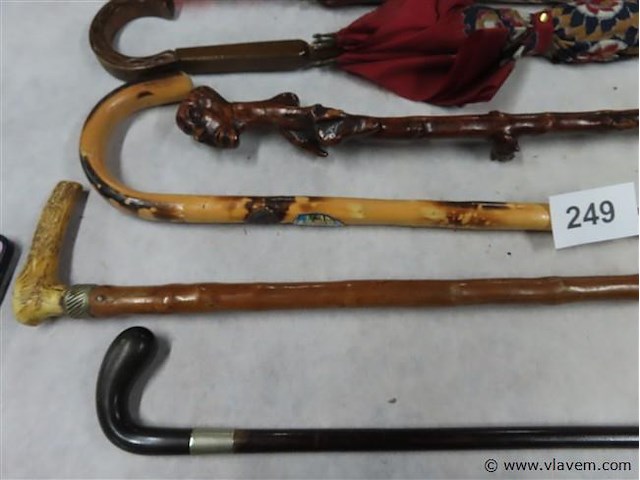 Wandelstokken en paraplu's - afbeelding 3 van  3