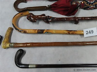 Wandelstokken en paraplu's - afbeelding 3 van  3
