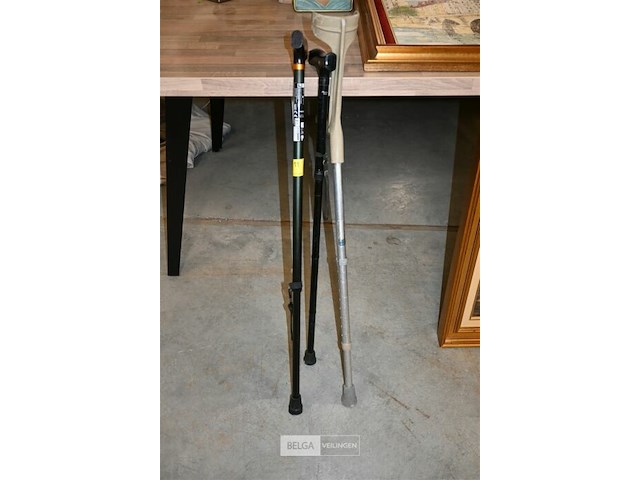Wandelstokken + kruk - afbeelding 1 van  5