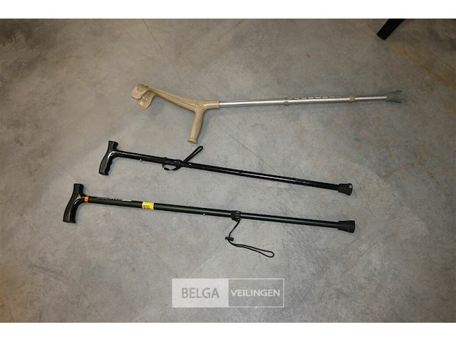 Wandelstokken + kruk - afbeelding 2 van  5