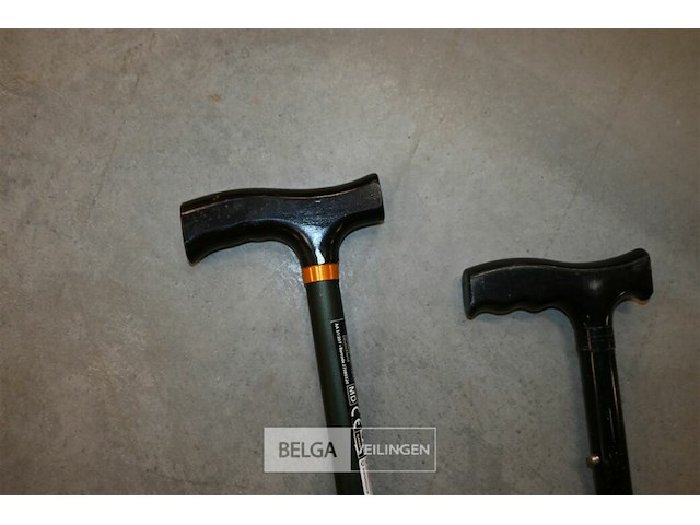 Wandelstokken + kruk - afbeelding 3 van  5
