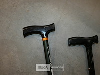 Wandelstokken + kruk - afbeelding 3 van  5