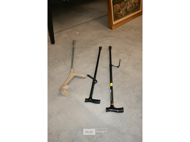 Wandelstokken + kruk - afbeelding 5 van  5