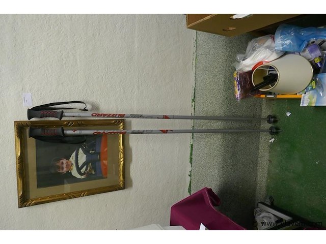 Wandelstokken - afbeelding 1 van  1