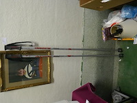 Wandelstokken - afbeelding 1 van  1