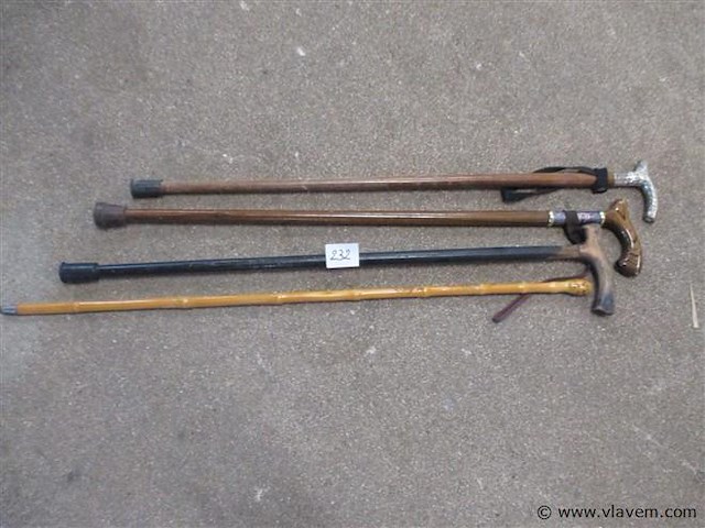 Wandelstokken - afbeelding 1 van  2