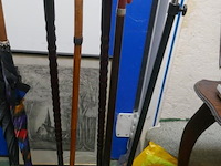 Wandelstokken - afbeelding 1 van  1