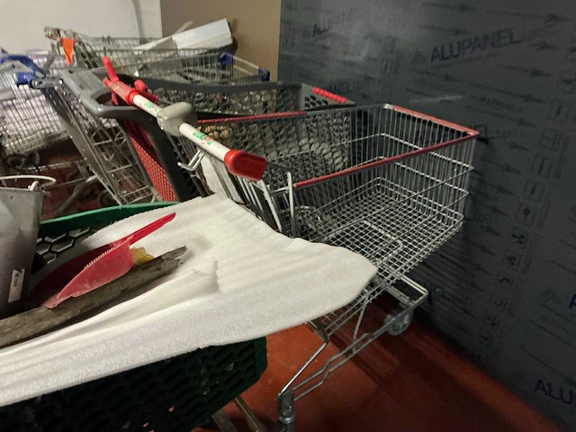 Wanzl/caddie diverse winkelwagens (9x) - afbeelding 6 van  11