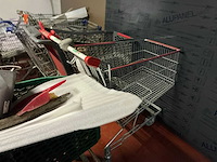 Wanzl/caddie diverse winkelwagens (9x) - afbeelding 6 van  11