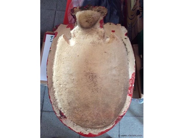 Wapenschild - afbeelding 4 van  4