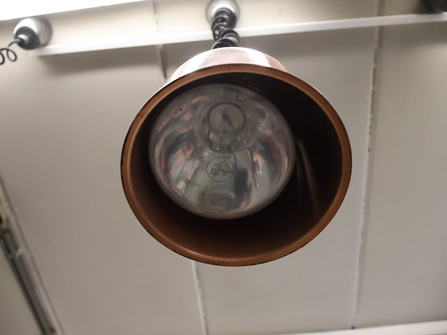 Warmhoudlampen - afbeelding 3 van  5