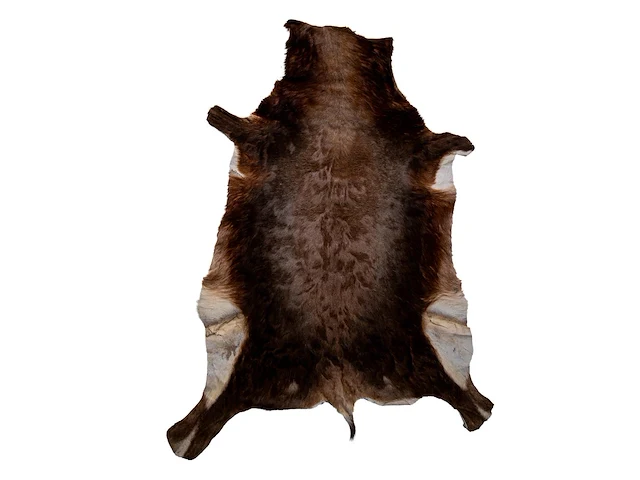 Waterbuck (kobus ellipsiprymnus) hide rug, 140 x 110 cm - afbeelding 1 van  4
