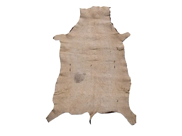 Waterbuck (kobus ellipsiprymnus) hide rug, 140 x 110 cm - afbeelding 2 van  4