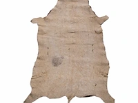 Waterbuck (kobus ellipsiprymnus) hide rug, 140 x 110 cm - afbeelding 2 van  4
