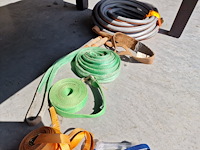 Waterdarm, spanlint, heflint - afbeelding 4 van  6