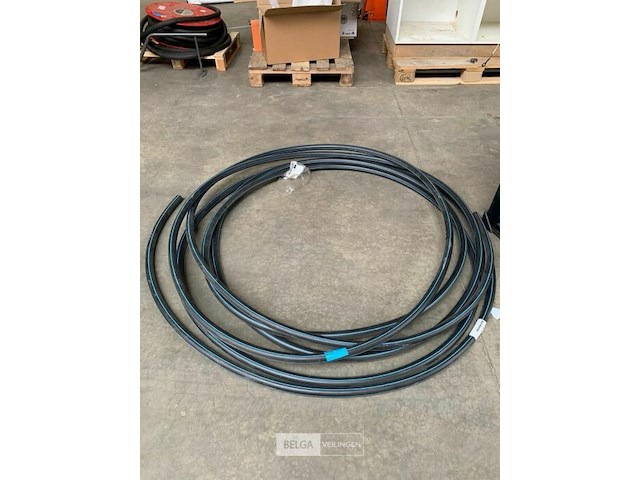 Waterdarm tyleenslang - afbeelding 1 van  1