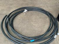 Waterdarm tyleenslang - afbeelding 1 van  1