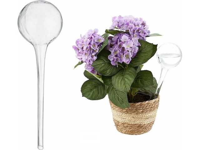 Waterdruppelaar - afbeelding 2 van  5