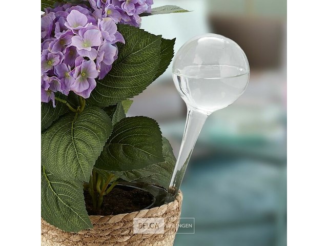 Waterdruppelaar - afbeelding 3 van  5