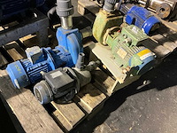 Waterpomp (3x) - afbeelding 1 van  4