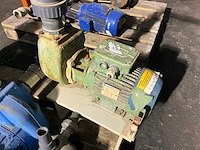 Waterpomp (3x) - afbeelding 2 van  4