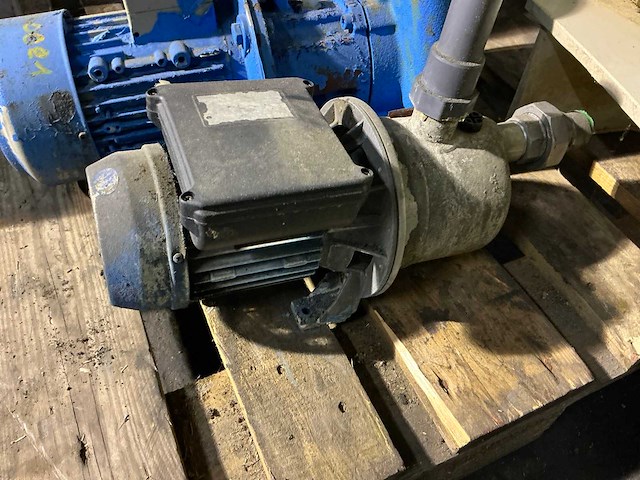 Waterpomp (3x) - afbeelding 3 van  4