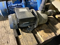 Waterpomp (3x) - afbeelding 3 van  4