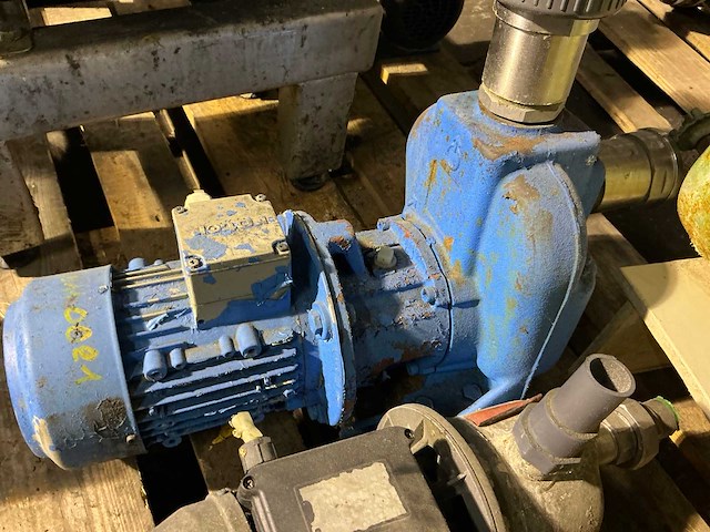 Waterpomp (3x) - afbeelding 4 van  4