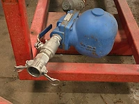 Waterpomp kiwihesta - afbeelding 3 van  5
