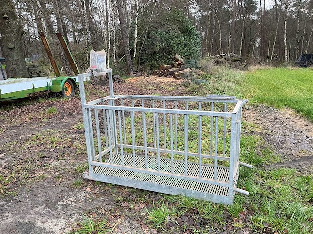 Weegbrug biggen - varkens - afbeelding 1 van  5